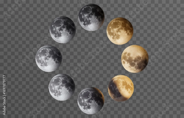 Fototapeta Set of realistic vector moon on an isolated transparent background. Moon vector png.