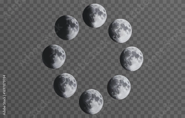Fototapeta Set of realistic vector moon on an isolated transparent background. Moon vector png.