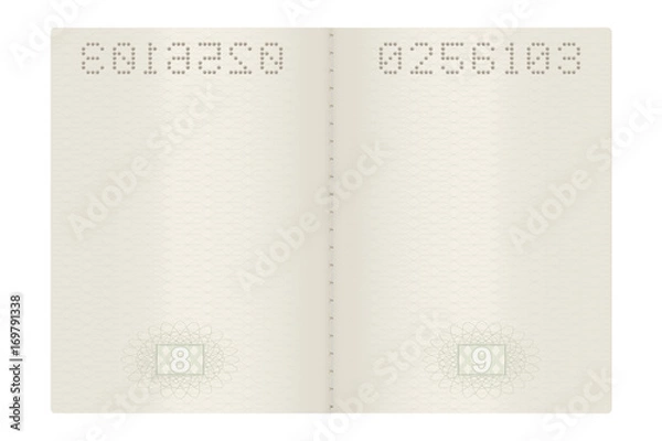 Obraz Passport pages