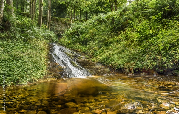 Fototapeta Glengoyne Burn