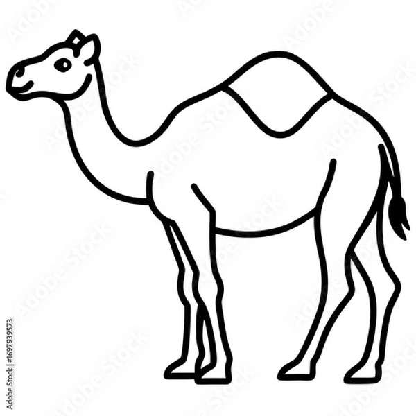 Obraz Desert Camel Line Art Vector