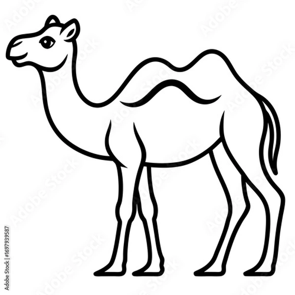 Fototapeta Desert Camel Line Art Vector