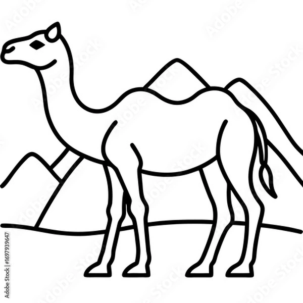 Fototapeta Desert Camel Line Art Vector