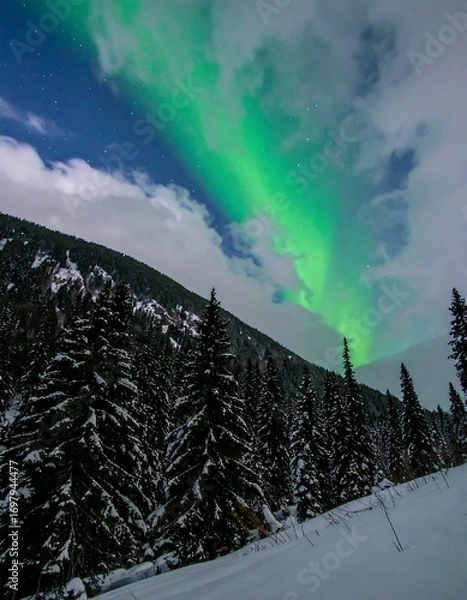 Obraz Northern lights over snowy forest