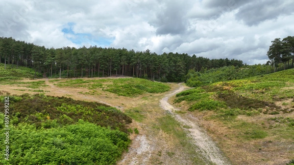 Fototapeta Aerial view of country and woodland path