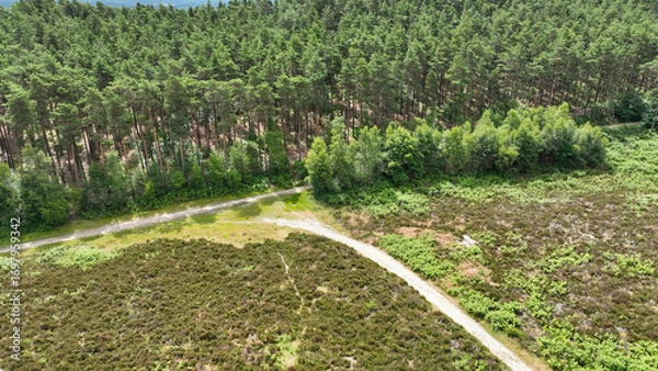 Obraz Aerial view of country and woodland path