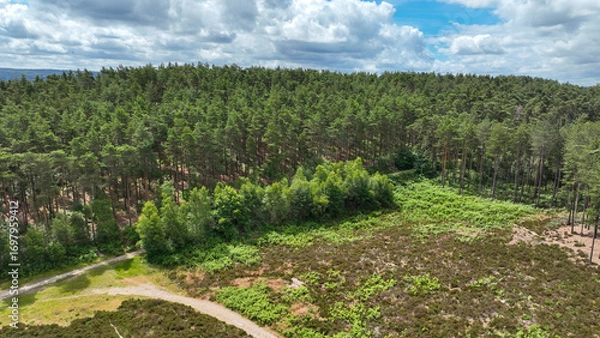 Obraz Aerial view of country and woodland path