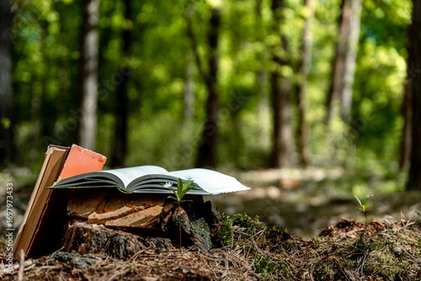 Fototapeta Old book lying on tree stump with blurred forest trees in background. Open book with old paper pages. Concept of knowledge, wisdom, fairy tales