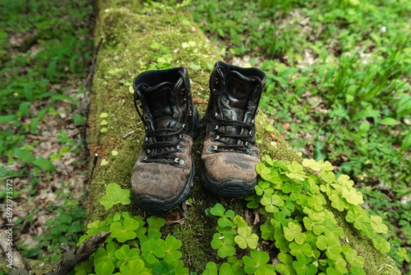 Fototapeta Pair of leather brown trekking shoes on blurred background of green forest. Close up of hiking boots on wood log covered with moss. Outdoor adventure concept	