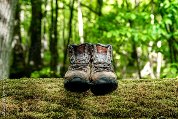 Fototapeta Pair of leather brown trekking shoes on blurred background of green forest. Close up of hiking boots on wood log covered with moss. Outdoor adventure concept	