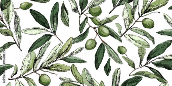 Fototapeta Elegant olive branch pattern with green leaves on transparency background