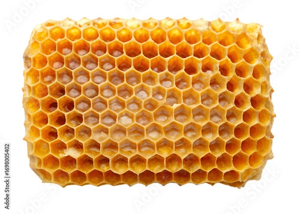Fototapeta honeycomb with honey top view png image on transparent background