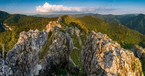 Fototapeta Scenic panoramic view of rocky peaks and green forested mountains in Great Fatra National Park, Slovakia. Summer hiking trail under clear sky and soft evening light in Central Europe.