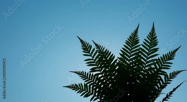 Obraz Skyward Silhouette