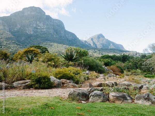 Obraz Kirstenbosch
