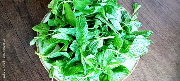 Fototapeta Mint leaves isolated on white. Spearmint leaves collection clipping path. Small macro studio photo