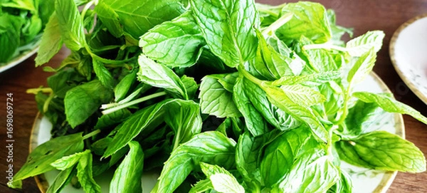 Fototapeta Mint leaves isolated on white. Spearmint leaves collection clipping path. Small macro studio photo