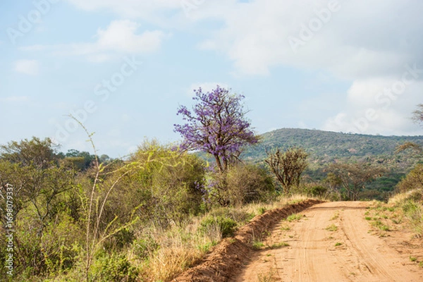 Obraz dirt road in the mountains