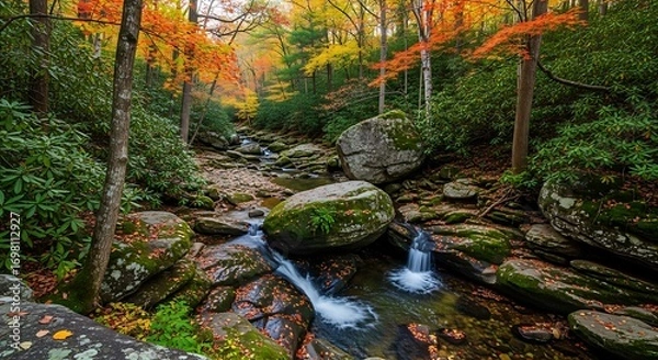Fototapeta Serene autumn landscape with a stream flowing through mossy rocks