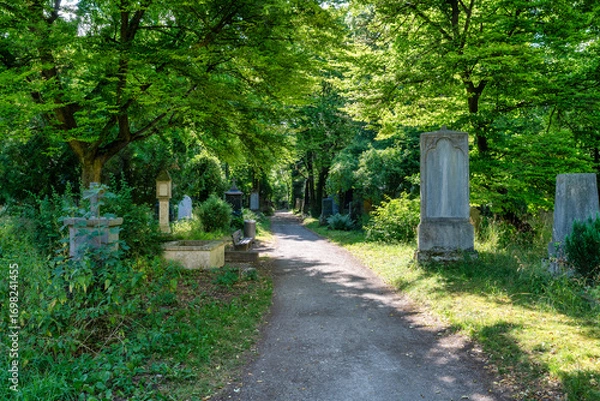 Obraz Fußweg über den  alten Südfriedhof München
