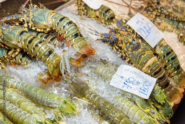Fototapeta Fresh spiny lobsters and Japanese mantis shrimp at food market