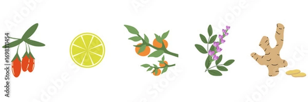 Fototapeta Korean Retinol Tea recipe. Vector illustration set Korean Retinol Tea ingredient include goji berries, persimmons, licorice, lemon and ginger. EPS 10