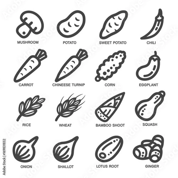 Fototapeta vegetable thin line icon set,vector illustration