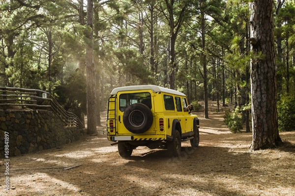 Obraz A Brifor Landrover fire fighter car in the forrests of La Esperanza, Tenerife, Spain Teide national park to check out the fire situation in the woods.