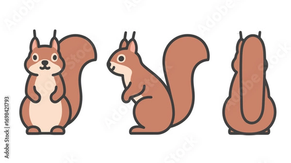 Fototapeta Cute flat vector illustration of a cartoon squirrel from the front, side, and back, isolated on a white background.