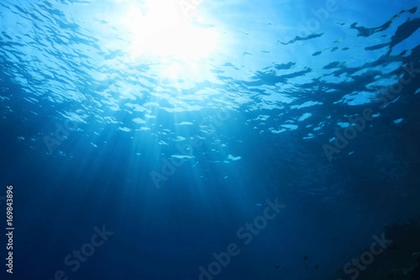 Fototapeta Water surface and sunlight