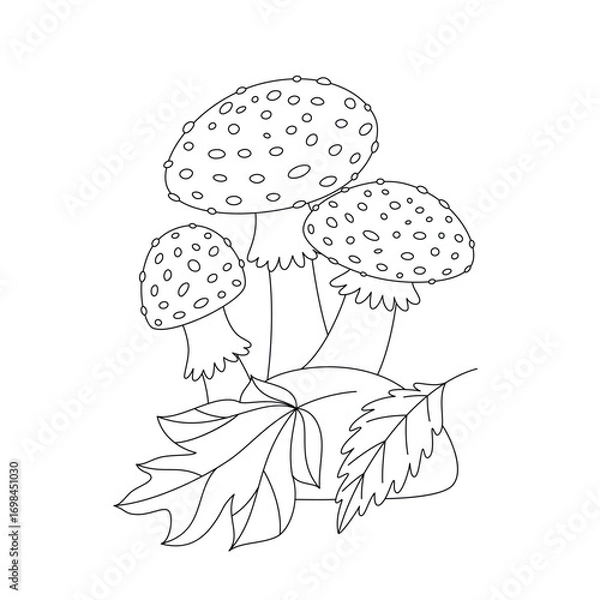 Fototapeta Coloring page with mushrooms and leaves. Vector linear illustration of fly agaric. Black and white line art coloring book page