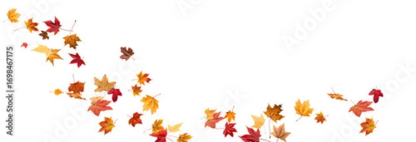 Fototapeta PNG Falling leaves, autumn foliage on transparent background, beautiful background Overlay orange and gold leaves. Vector maple leaf, png, flying foliage from tree.