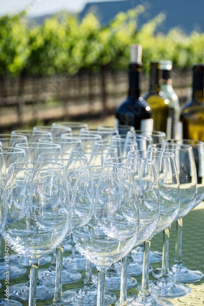 Obraz Wine tasting toasting glasses celebration event at a vineyard in Napa Valley