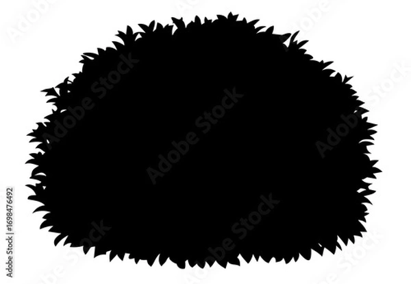 Fototapeta Rounded garden hedge shape, trimmed bush silhouette, topiary greenery form for decorative landscaping, shrub