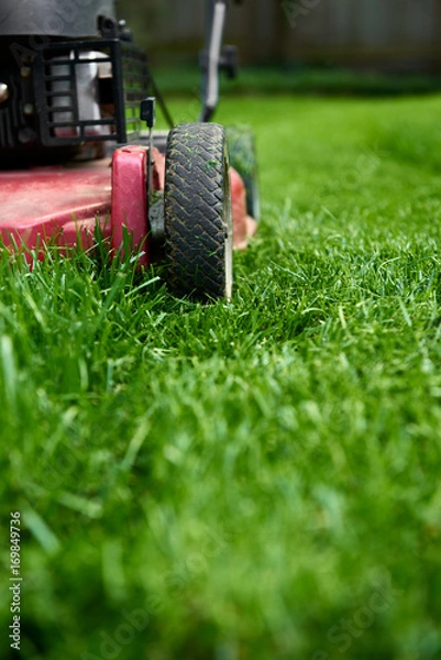 Obraz Low angle close up of lawnmower cutting fresh green grass