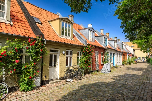 Obraz Ulica Mollestien, Aarhus, Dania