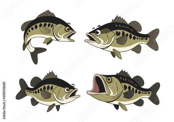 Obraz Four largemouth bass swimming together angling freshwater fishing