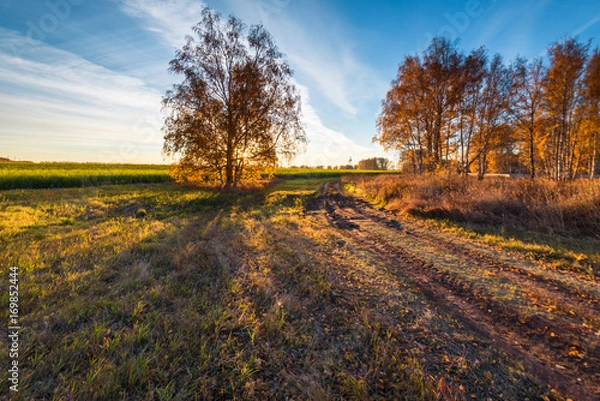 Obraz Sunrise in the autumn fields