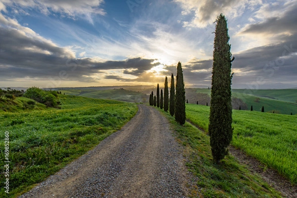 Obraz Road to the Sun