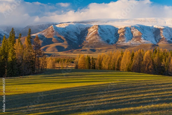 Obraz Evening stripes