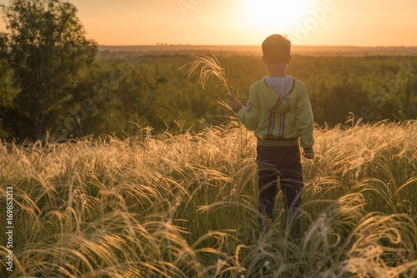 Obraz Blooming feather-grass