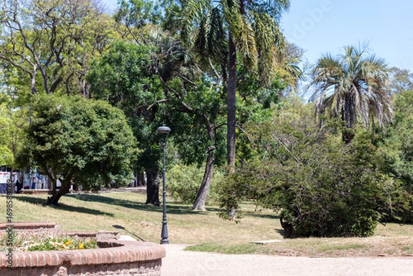 Fototapeta A pleasant walk through the Rodó Park of Montevideo in Uruguay.	