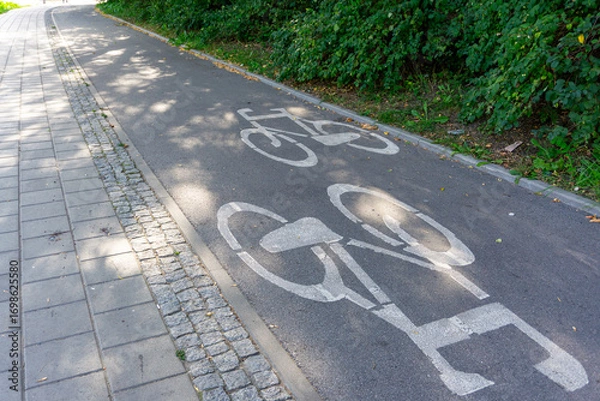 Fototapeta Bicycle path with white bike markings on asphalt, next to paved sidewalk and green bushes along the side.
