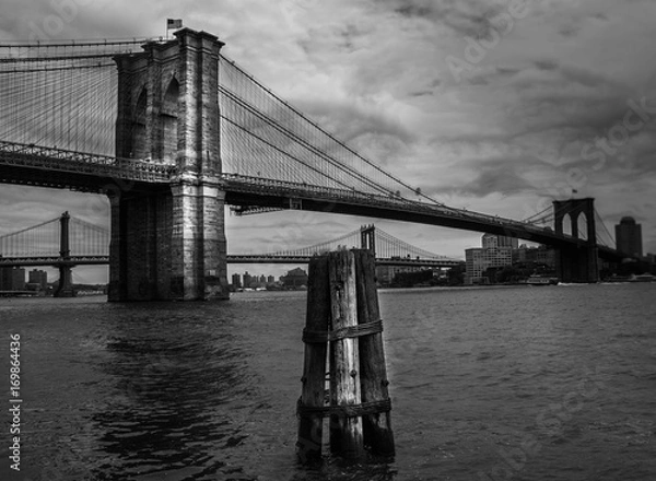 Obraz Brooklyn Bridge in black and white