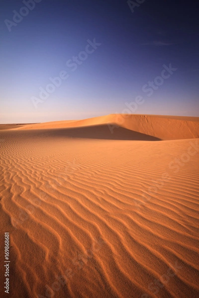 Obraz Sahara ripples 2