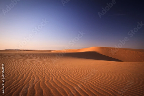 Obraz Sahara ripples