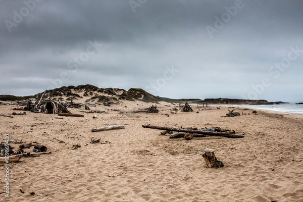 Obraz california beach
