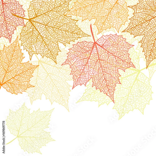 Fototapeta Nature banner with autumn leaves 