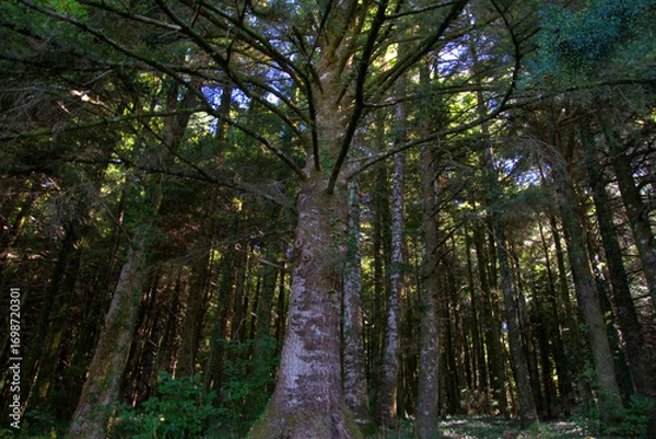 Fototapeta reportage Archiforo