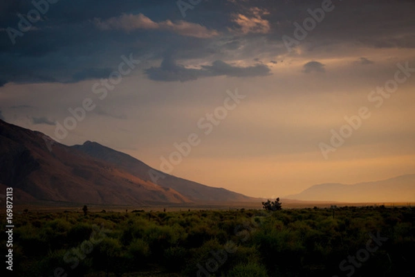 Obraz Yolancha sunrise